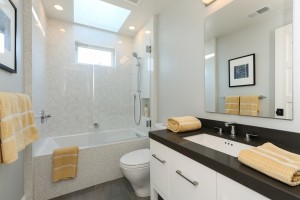 Eureka Valley Architecture - Bathroom Renovation